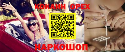 спиды Гай