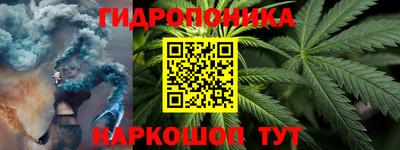 apvp Гатчина