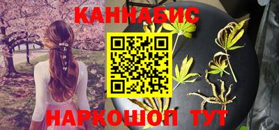 apvp Гатчина