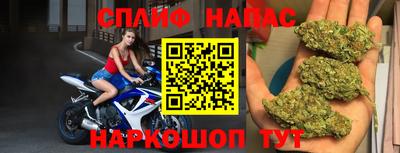 спайс Гагарин
