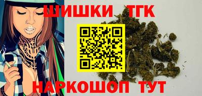 спиды Гай
