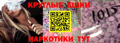 apvp Гатчина