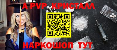 спиды Гай