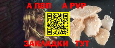 спиды Гай