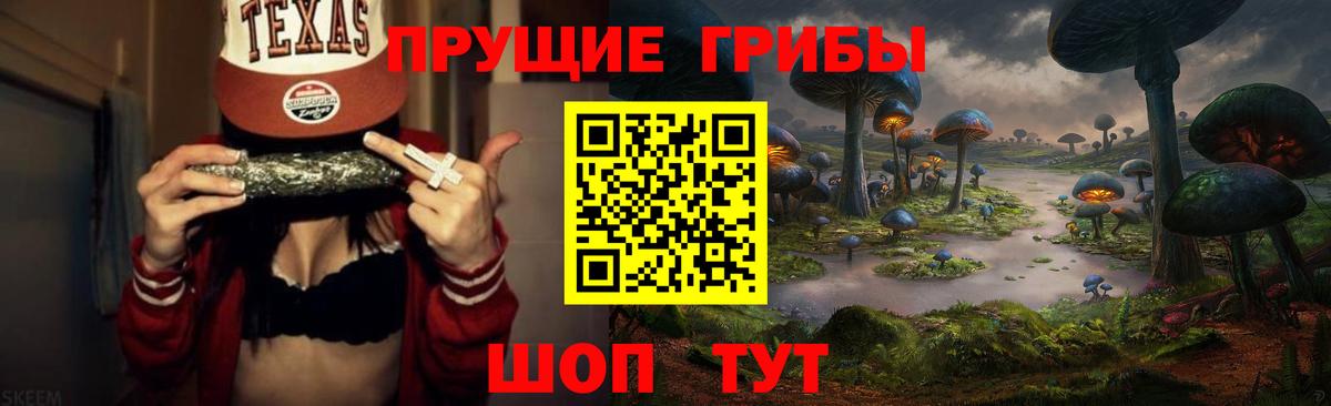 купить наркотики цена  Галлюциногенные грибы Psilocybine cubensis  Вход с VPN  Псилоцибиновые грибы Psilocybine cubensis  Щёкино 